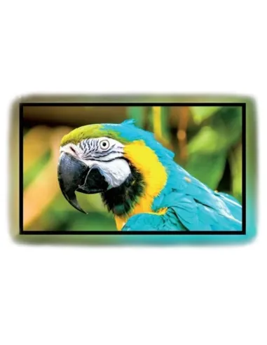 Kauber Frame CLR 261x147