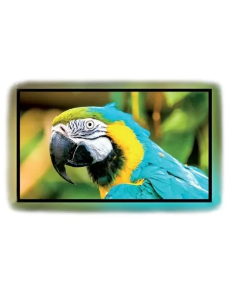 Kauber Frame CLR 261x147