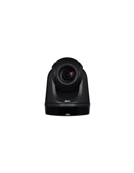 AVer DL30