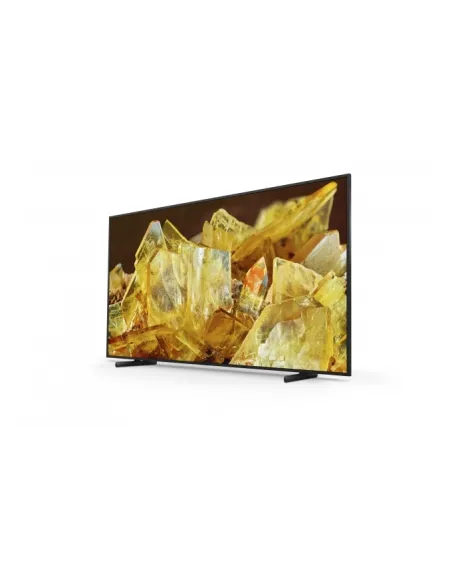 Sony FWD-98X90L