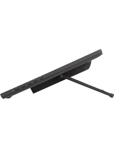 iiyama ProLite T2455MSC-B1