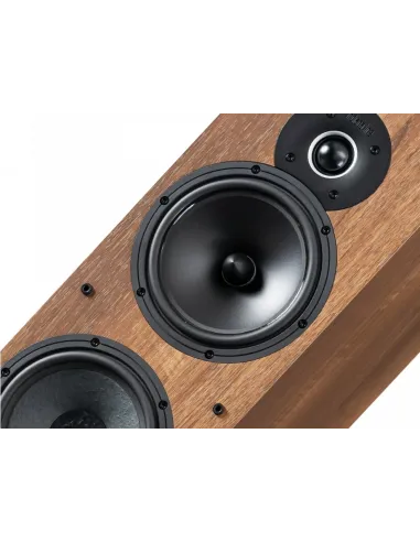 Indiana Line Tesi 661