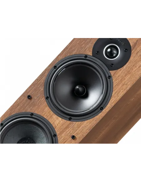 Indiana Line Tesi 661