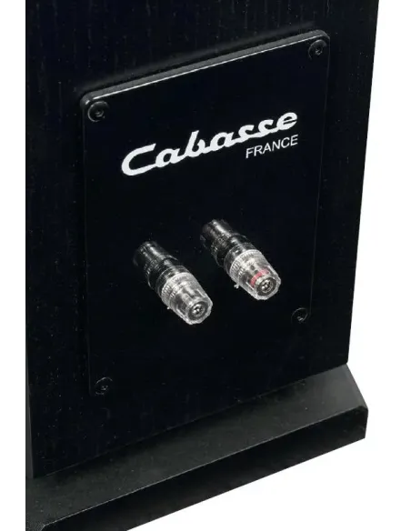 Cabasse Jersey MC170 Dark Oak