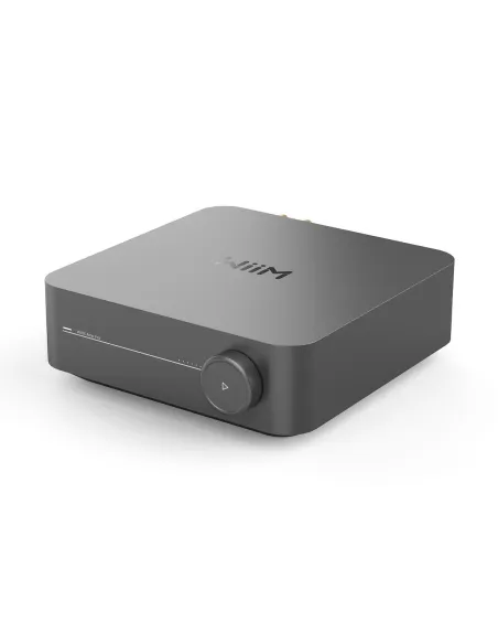 WiiM Amp Pro