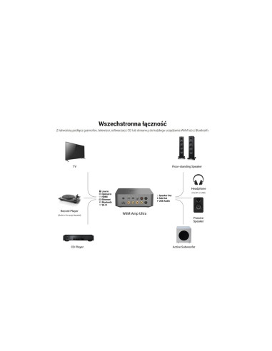 WiiM AMP Ultra Silver