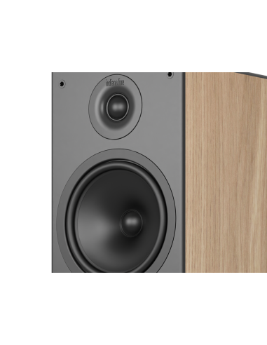 Indiana Line Nota 6 Classic Oak – kolumny podłogowe | AVPoint