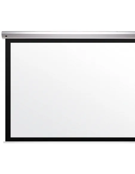 Kauber Blue Label BF 290x163