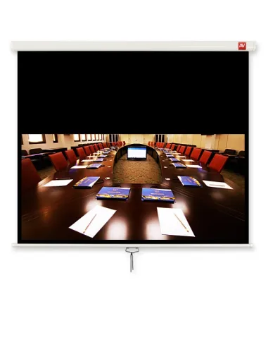 Ekran Avtek Business 240