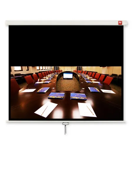 Ekran Avtek Business 240