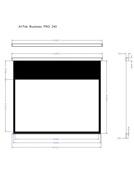 Ekran Avtek Business Pro 240